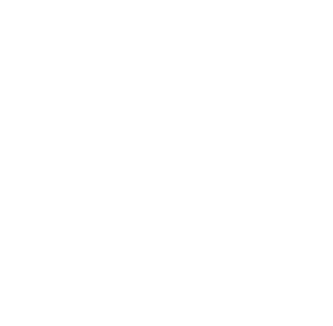 ShowSlinger logo